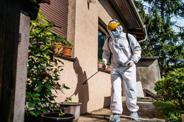 Best Wasp Removal Services  in Pine Ridge, PA