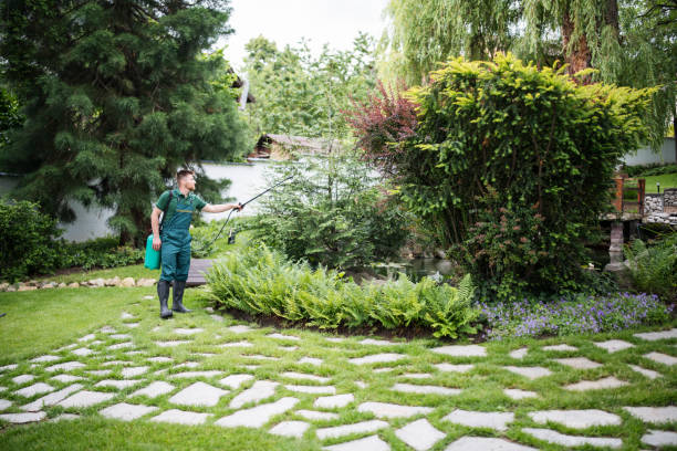 Best Exterminator Services  in Pine Ridge, PA