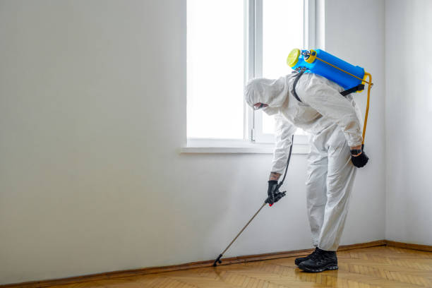 Best Wasp Removal Services  in Pine Ridge, PA