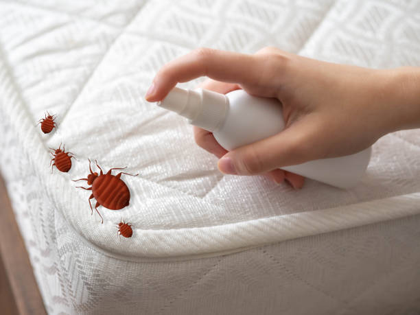 Pest Control Cost in Pine Ridge, PA