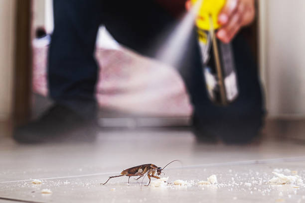 Best Affordable Pest Control Services  in Pine Ridge, PA