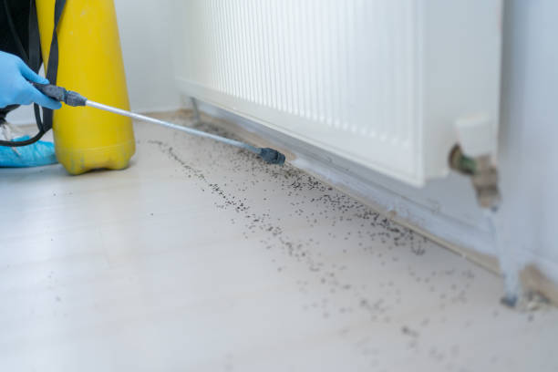 Best Pest Control Near Me  in Pine Ridge, PA